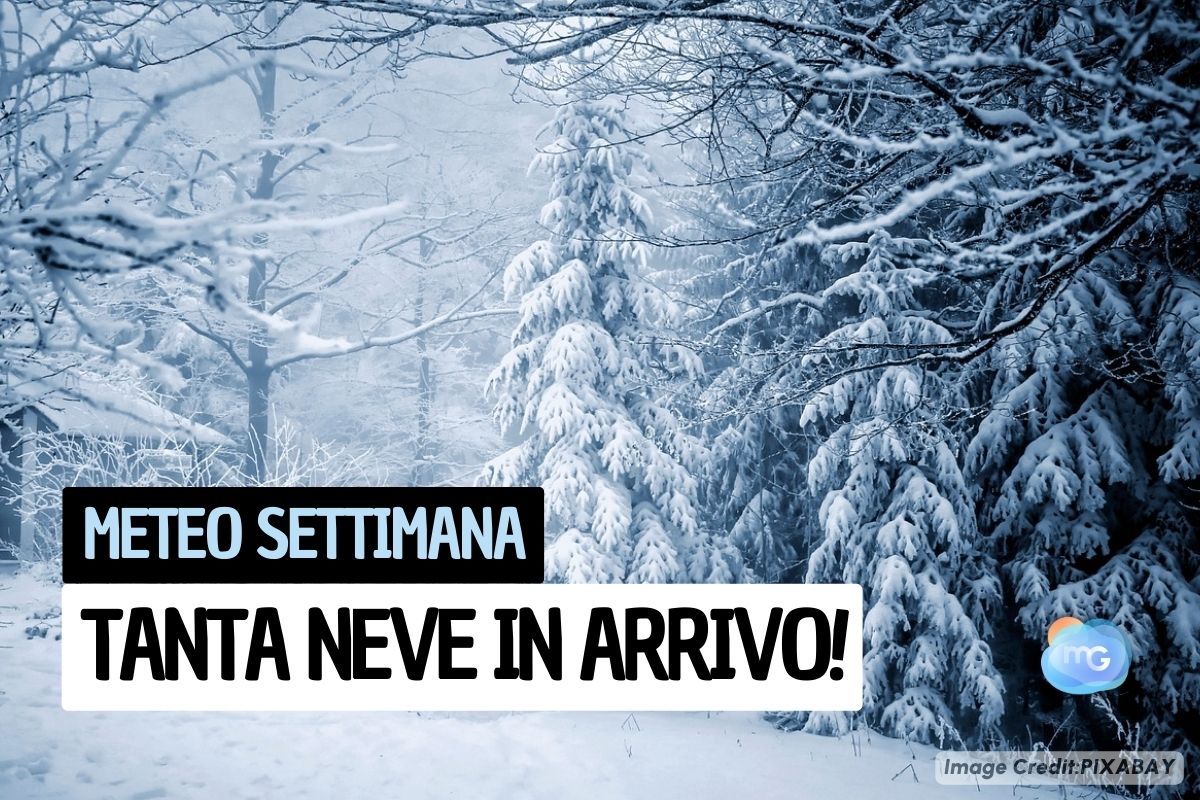 Meteo: Arriva La NEVE, Queste Sono Le REGIONI Dove Cadrà COPIOSA