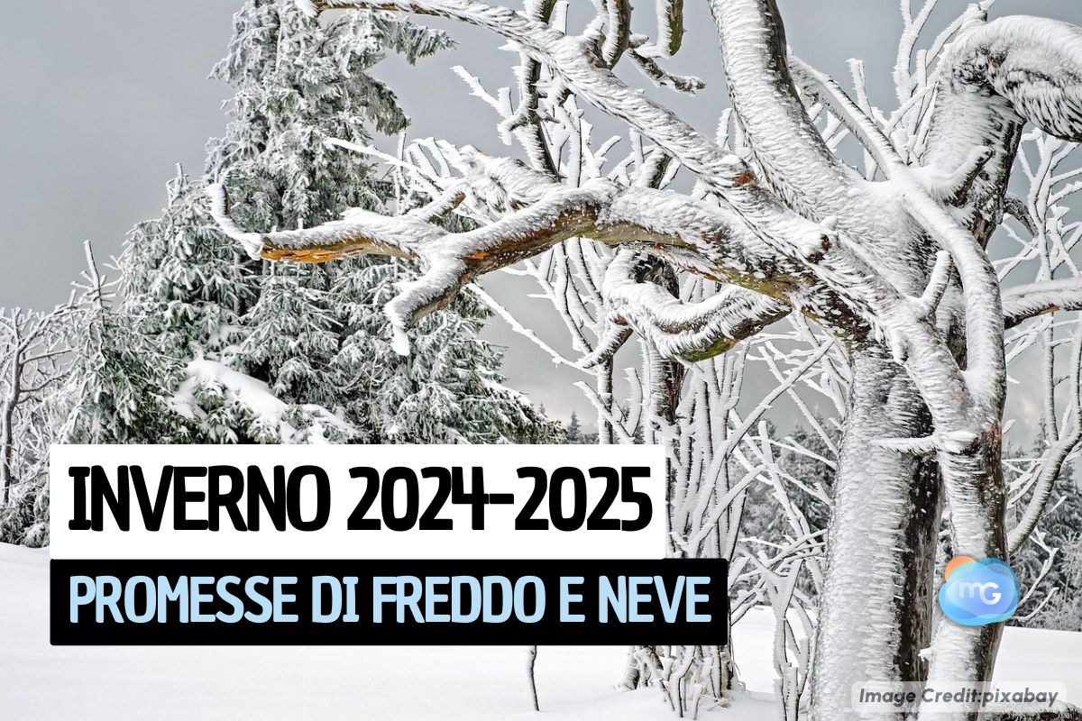 Articolo Meteo: come sarà l'inverno 2024-2025, nuova previsione su freddo e neve