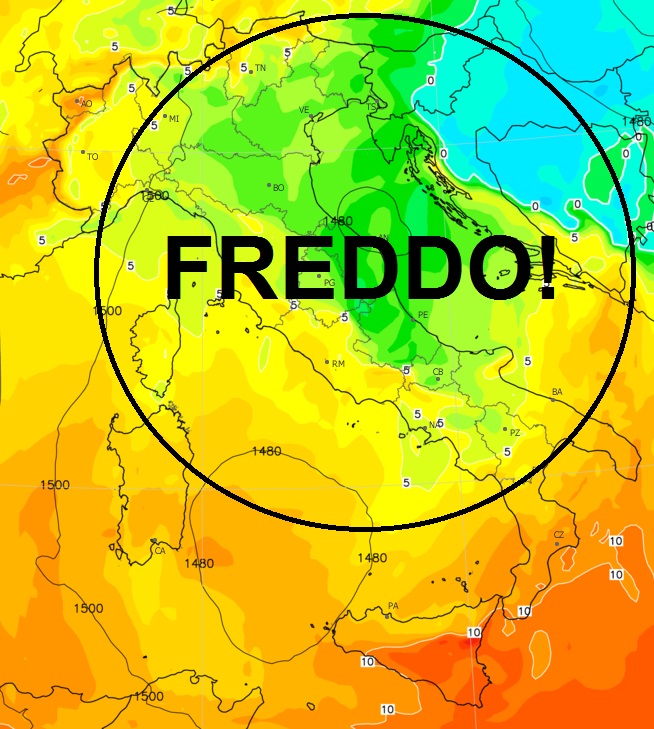 FREDDO!.jpg