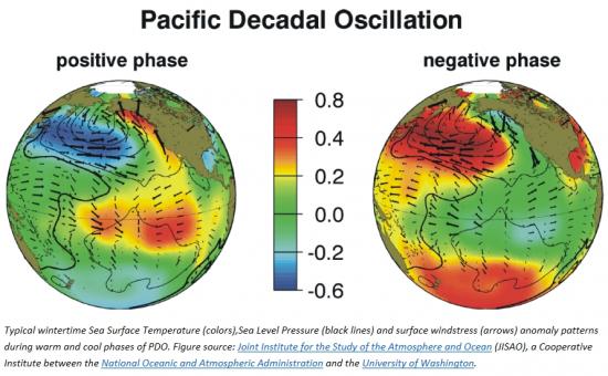 Fig.1 - La fase negativa  e positiva nella temperatura delle acque superficiali del Pacifico settentrionale