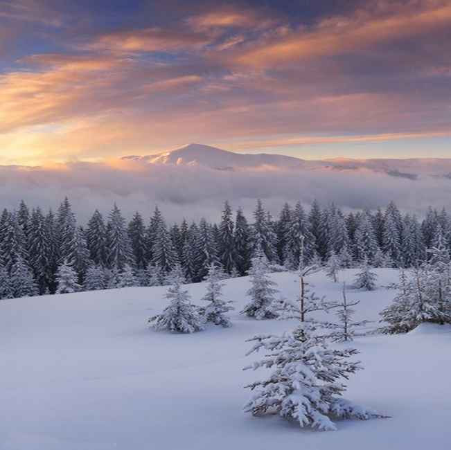 Neve Fino A Bassa Quota Lunedi 28 Meteogiuliacci It